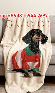 Gucci Dachshund Throw Blanket – Crayon-Style Dog in Sweater IMG_2967